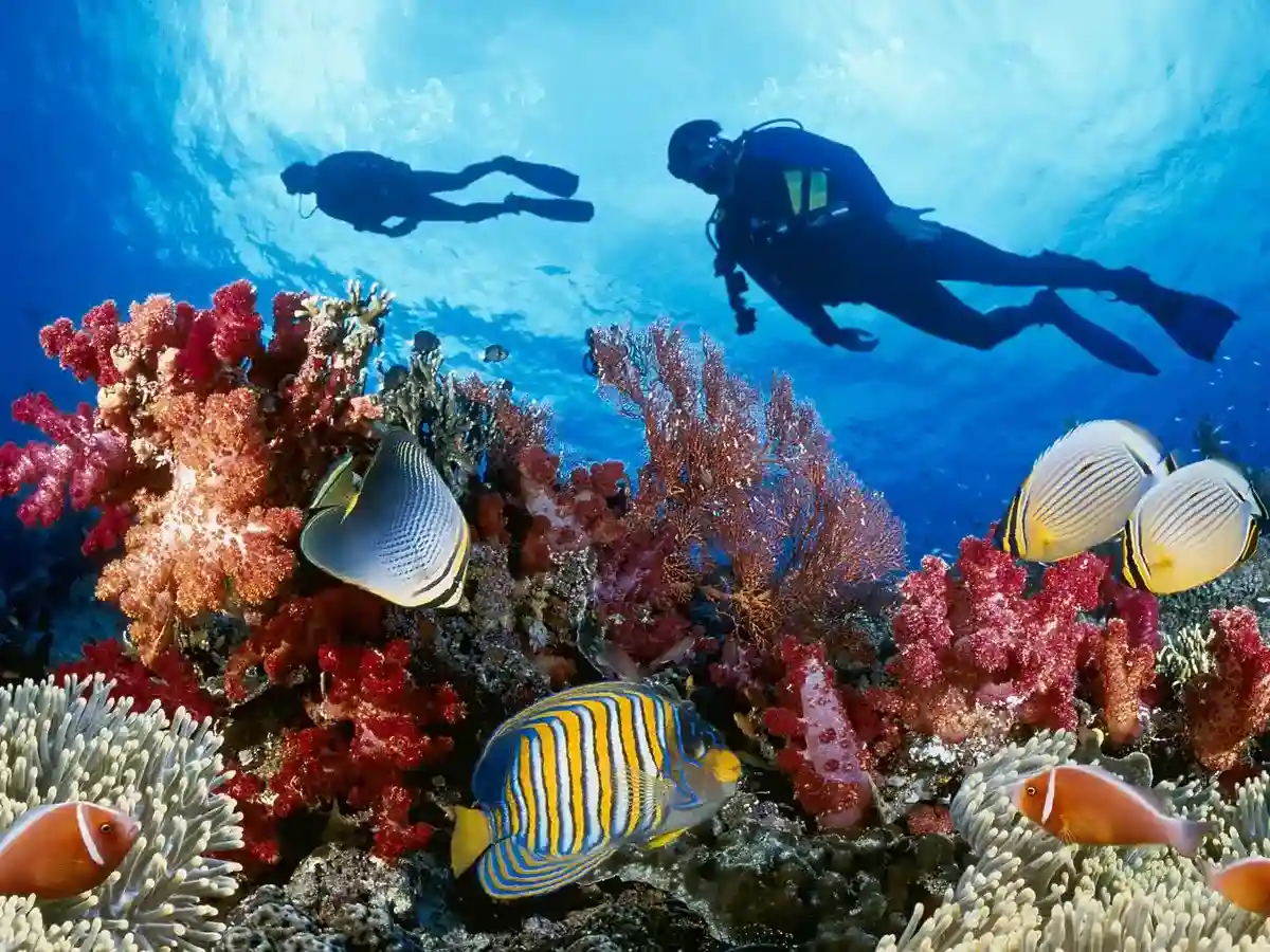 Дайвинг в Красном море, Египет