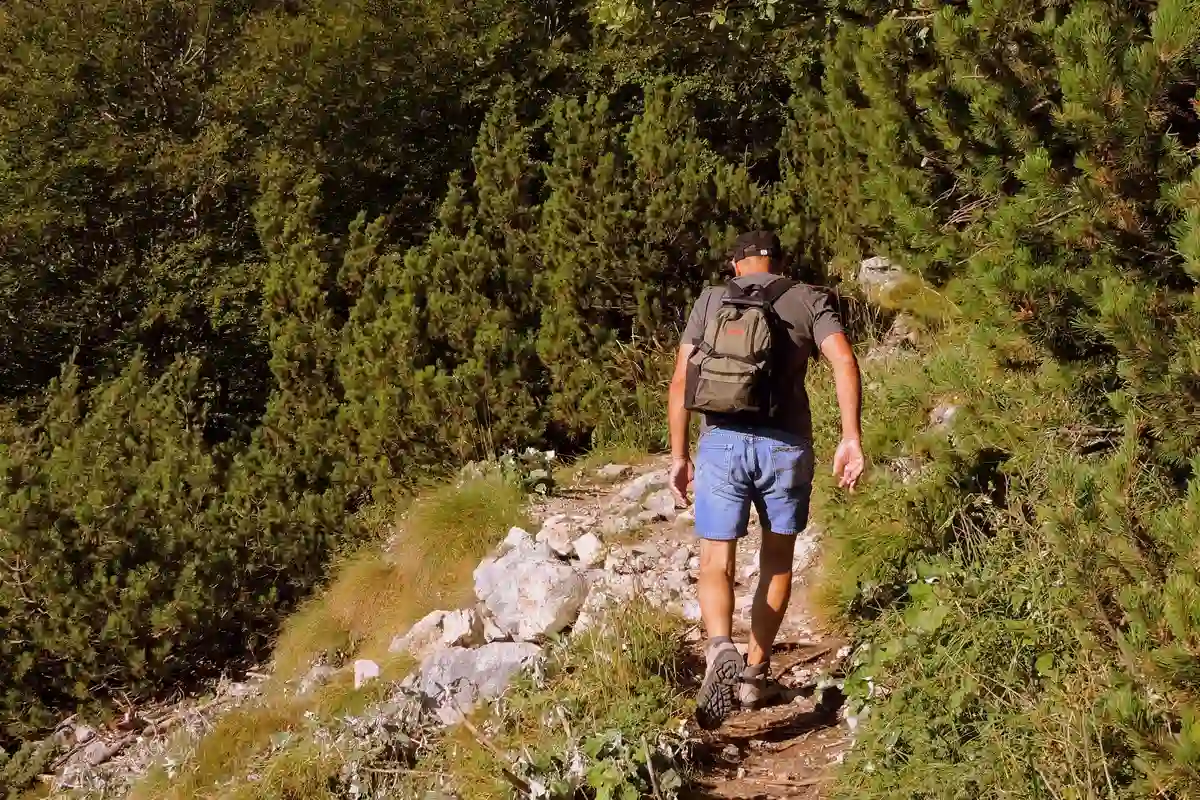 Прогулка по горной тропе