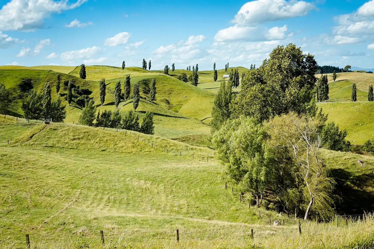 Съёмки фильма на природе