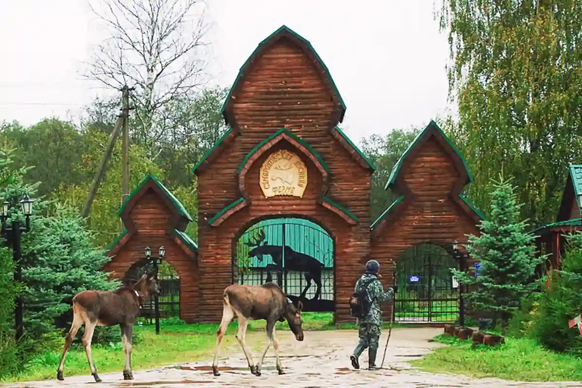 Сумароковская лосиная ферма