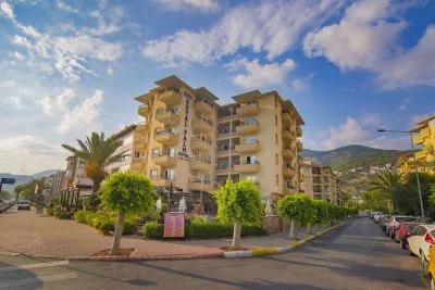 KLEOPATRA ROYAL PALM